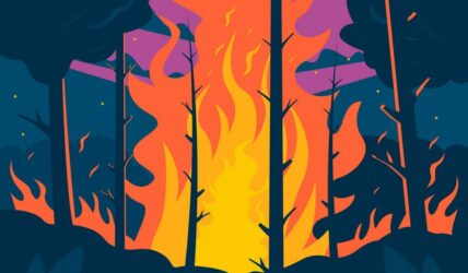illustration-feu-foret-dessine-main_23-2150633205