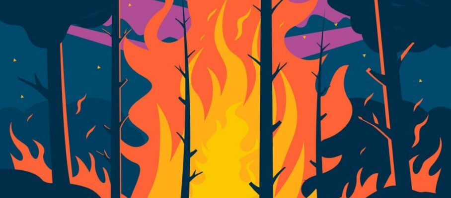 illustration-feu-foret-dessine-main_23-2150633205